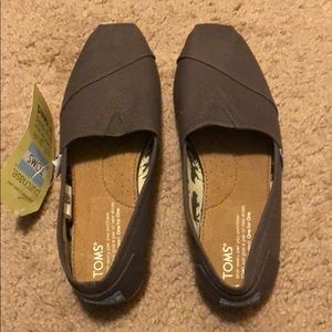 Toms - Ash Canvas Women’s Classics